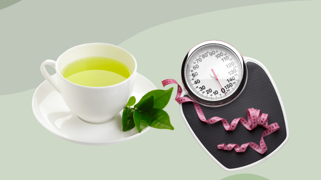Does Green Tea Help You Lose Weight? - LeafSnap