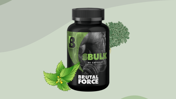SBulk Reviews