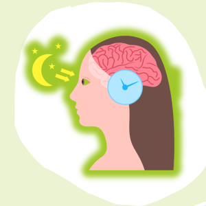 Le sommeil : Le rôle de la mélatonine