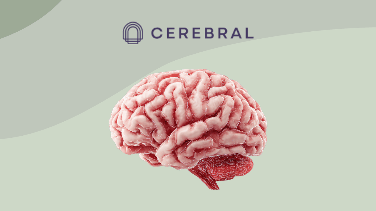 Cerebral Review