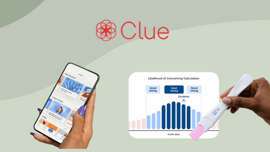 Clue Review