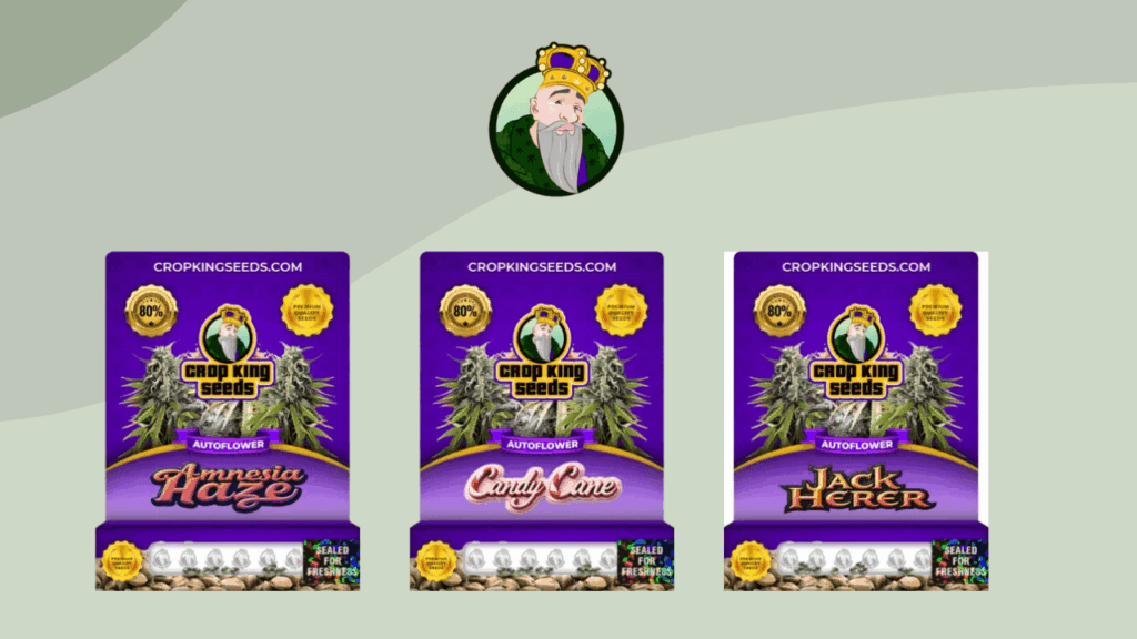 Crop King Seeds Review