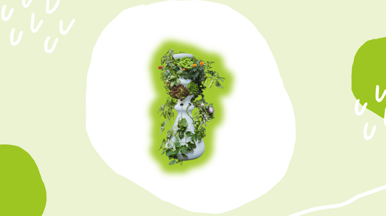 Lettuce Grow Review