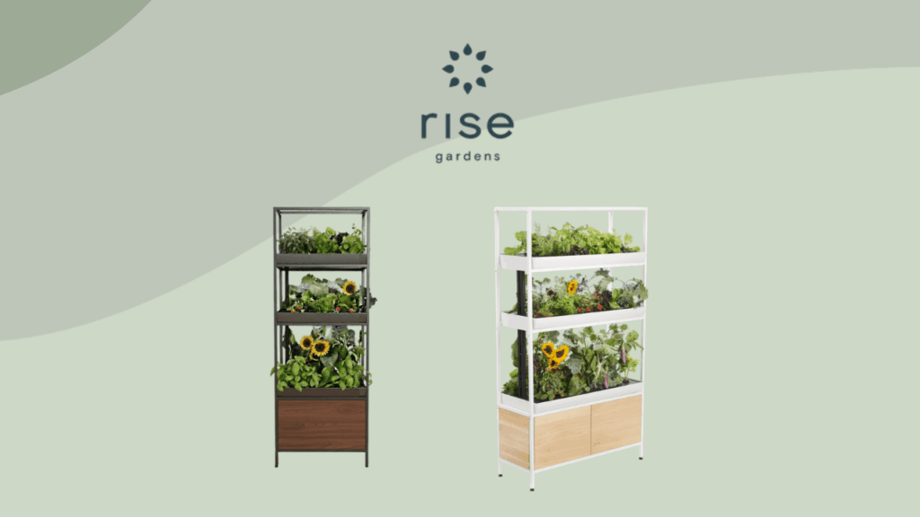 Rise Garden Review