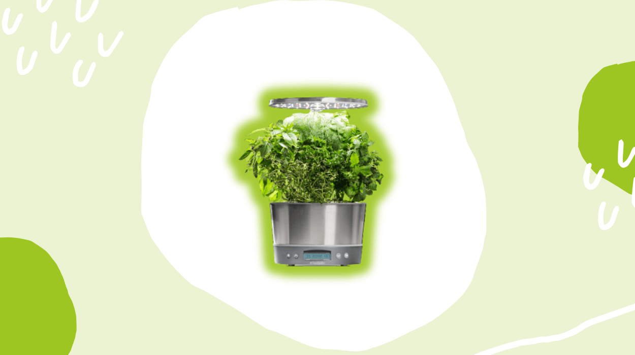 AeroGarden Review